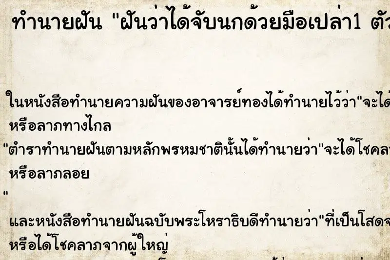 ทำนายฝัน ฝันว่าได้จับนกด้วยมือเปล่า1 ตัว ตำราโบราณ แม่นที่สุดในโลก